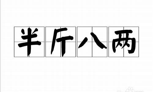 生死各一半字_生死有数半斤八两的意思