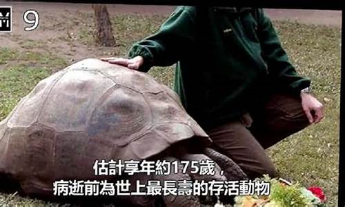 什么动物最长寿打一生肖最好_什么动物长寿命