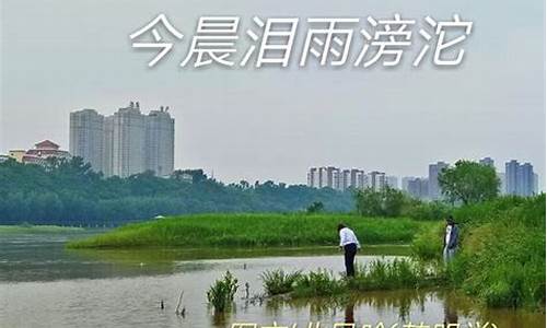 泪雨滂沱_泪雨滂沱的意思